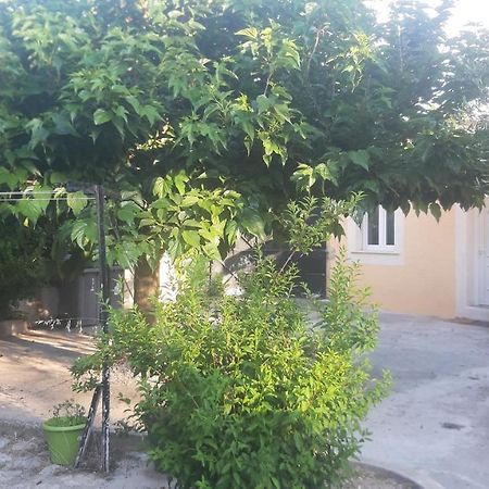 Ogooue Studio Carpentras Zewnętrze zdjęcie